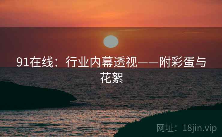 91在线：行业内幕透视——附彩蛋与花絮  第2张