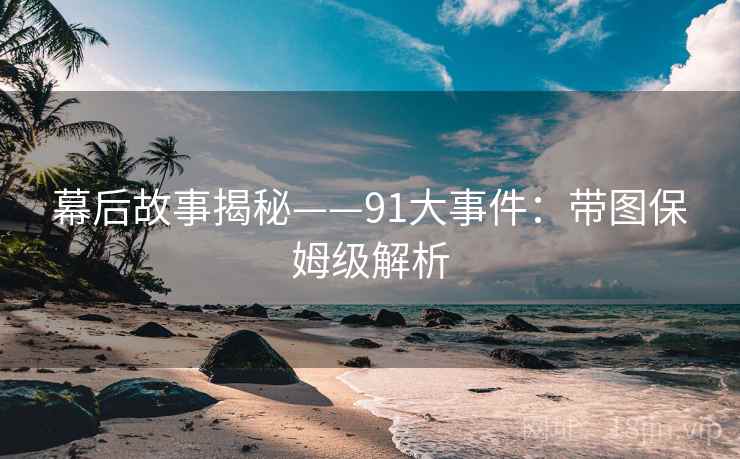 幕后故事揭秘——91大事件：带图保姆级解析