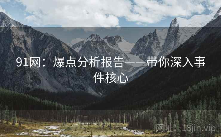 91网：爆点分析报告——带你深入事件核心  第2张