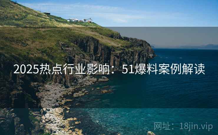 2025热点行业影响：51爆料案例解读  第2张