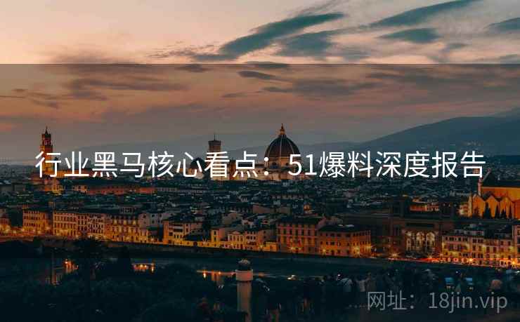 行业黑马核心看点：51爆料深度报告