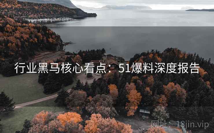 行业黑马核心看点：51爆料深度报告