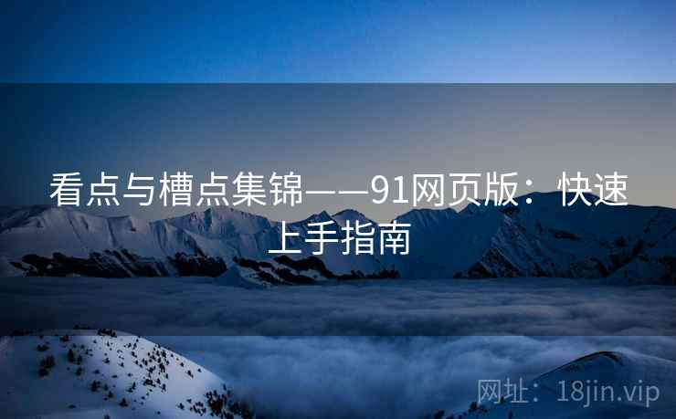 看点与槽点集锦——91网页版：快速上手指南