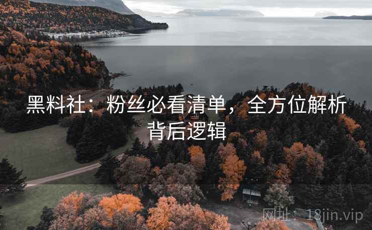 黑料社：粉丝必看清单，全方位解析背后逻辑