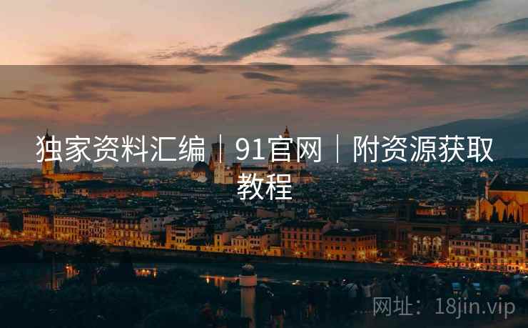 独家资料汇编｜91官网｜附资源获取教程  第1张
