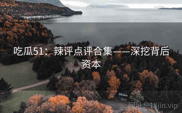 吃瓜51：辣评点评合集——深挖背后资本  第1张