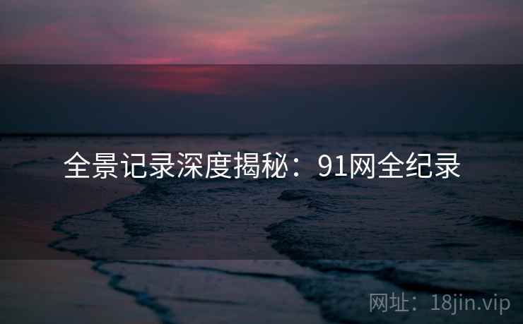全景记录深度揭秘：91网全纪录